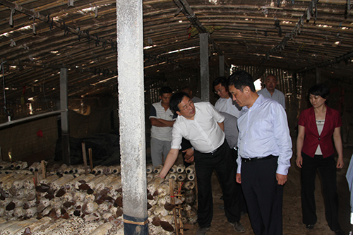 伟德体育官网 - 综合体育赛事平台|奥体中心相助同伴